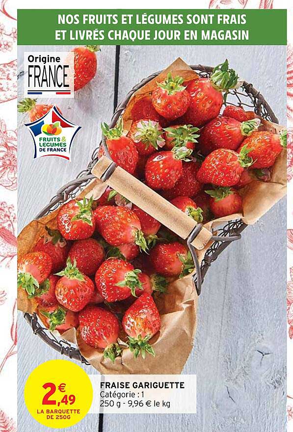 fraise gariguette