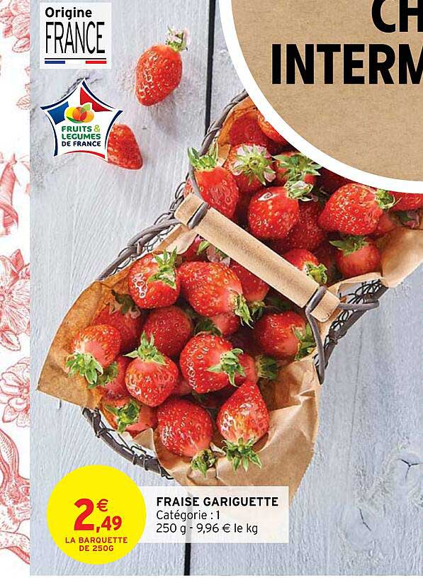 fraise gariguette