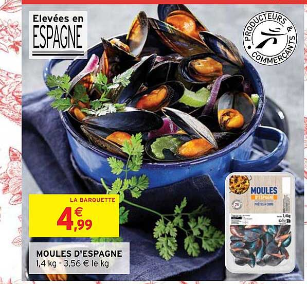 Moules D'espagne