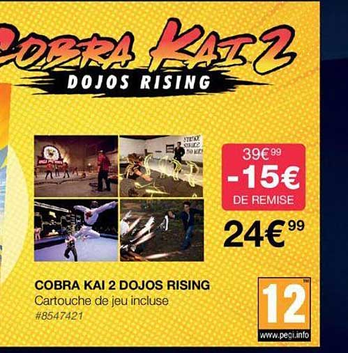 cobra kai 2 dojos rising