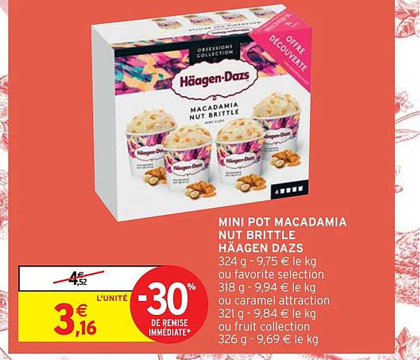 mini pot macadamia nut brittle häagen dazs