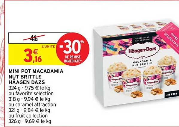 mini pot macadamia nut brittle häagen dazs