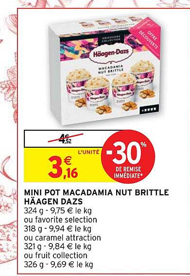 mini pot macadamia nut brittle häagen dazs