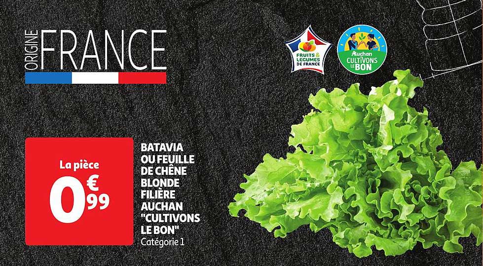 batavia ou feuille de chêne blonde filière auchan "cultivons le bon"