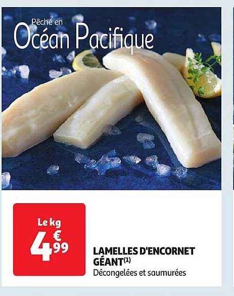 lamelles d'encornet géant