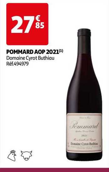 pommard aop 2021 domaine cyrot buthiau