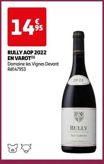 rully aop 2022 en varot domaine les vignes devant