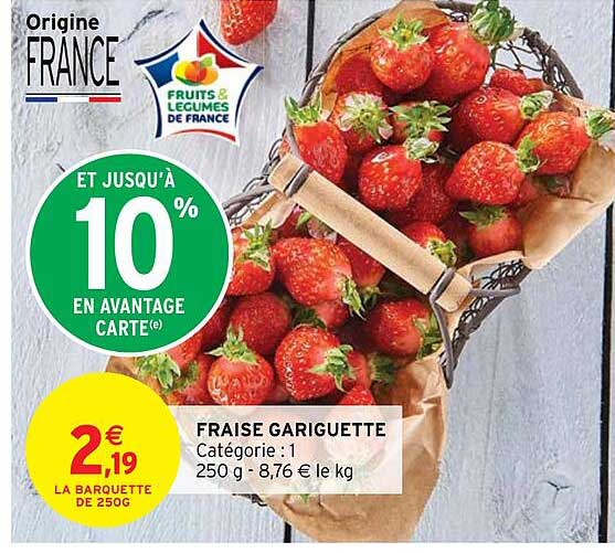 fraise gariguette