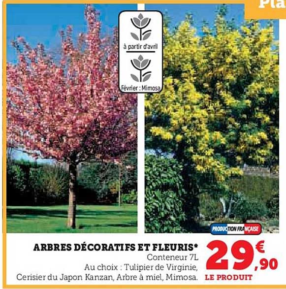 arbres décoratifs et fleuris