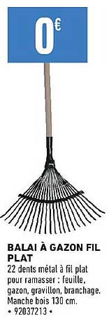 Balai à Gazon Fil Plat