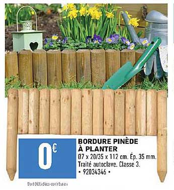 bordure pinède à planter