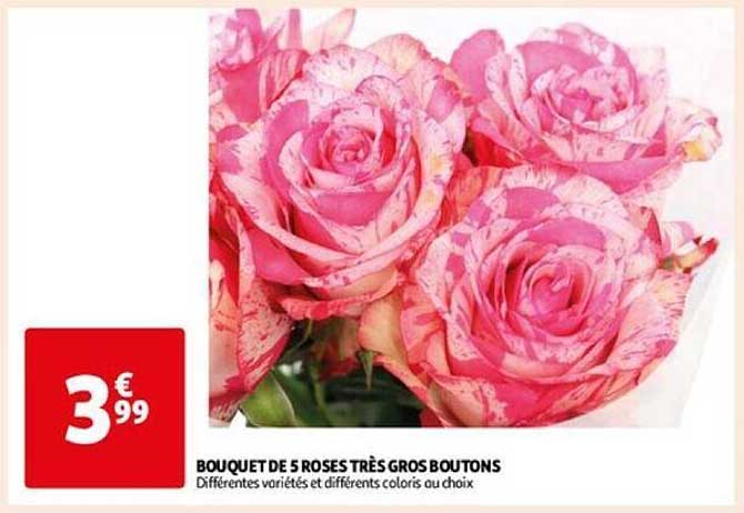 bouquet de 5 roses très gros boutons