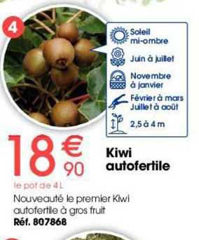 kiwi autofertile