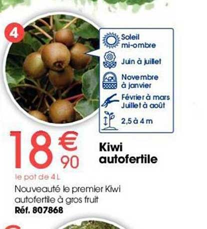 kiwi autofertile