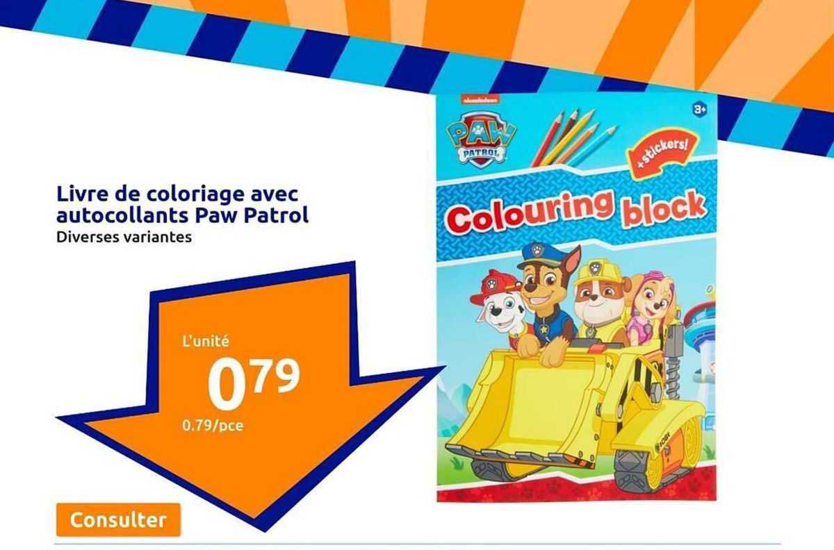 livre de coloriage avec autocollants paw patrol