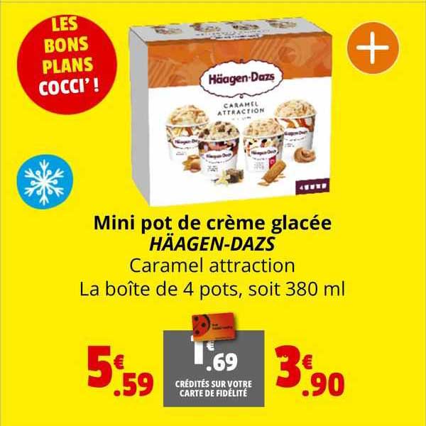 mini pot de crème glacée häagen-dazs