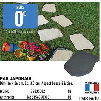 pas japonais