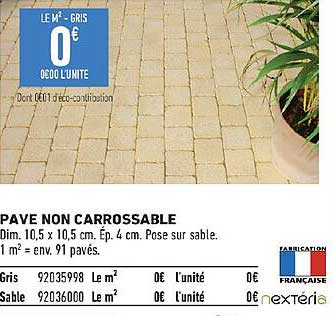 pavé non carrossable