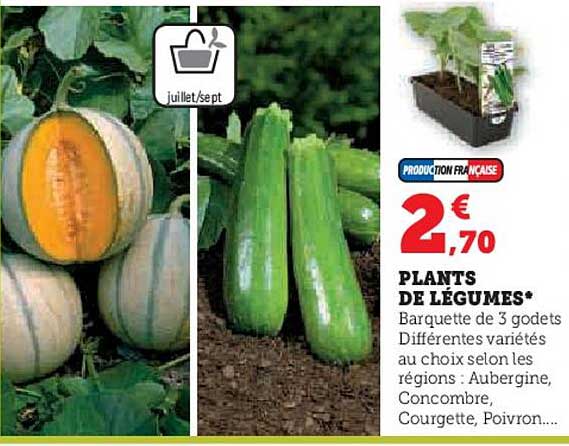plants de légumes