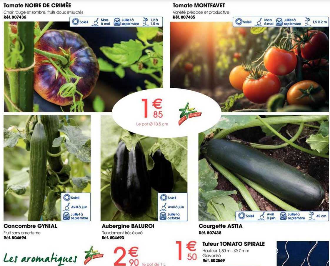 tomate noire de crimée, concombre gynial, aubergien baluroi, courgette astia, tuteur tomato spiral, tomate montfavet