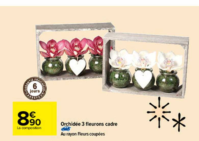 orchidée 3 fleurons cadre