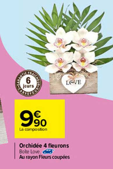 orchidée 4 fleurons