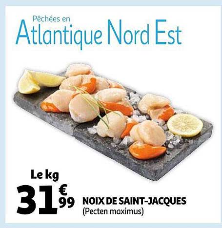 noix de saint-jacques