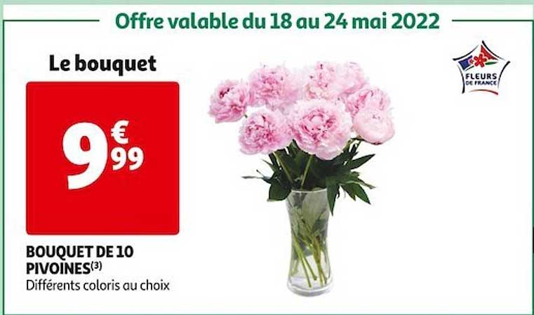 Bouquet De 10 Pivoines