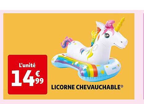 licorne chevauchable