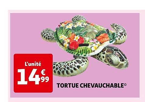 tortue chevauchable