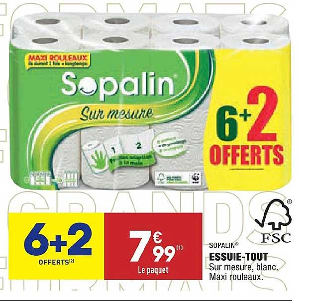 essuie tout sopalin 6+2 offerts