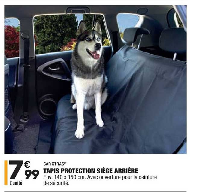 tapis protection siège arrière car xtras