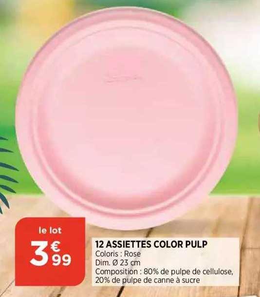 12 Assiettes Color Pulp