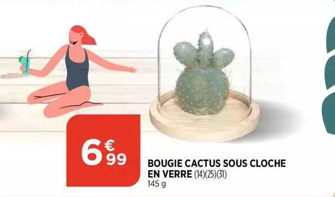 bougie cactus sous cloche en verre