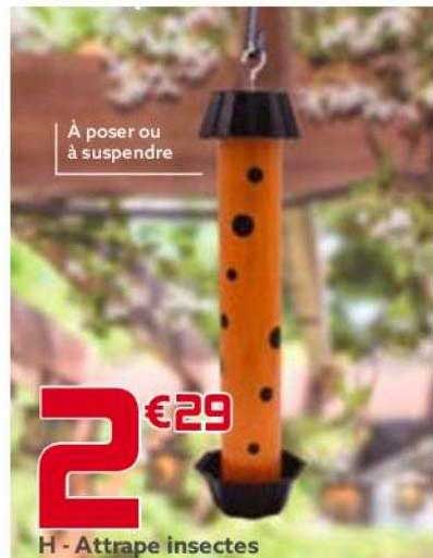 attrape insectes