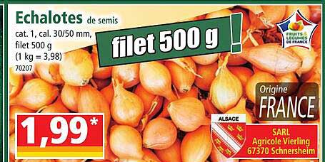 échalotes de semis