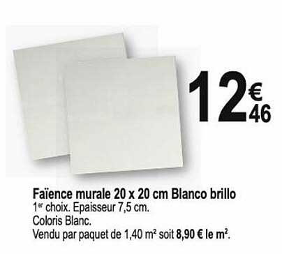 faïence murale 20 x 20 cm blanco brillo