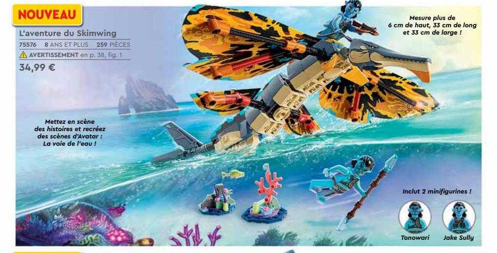 l'aventure du skimwing