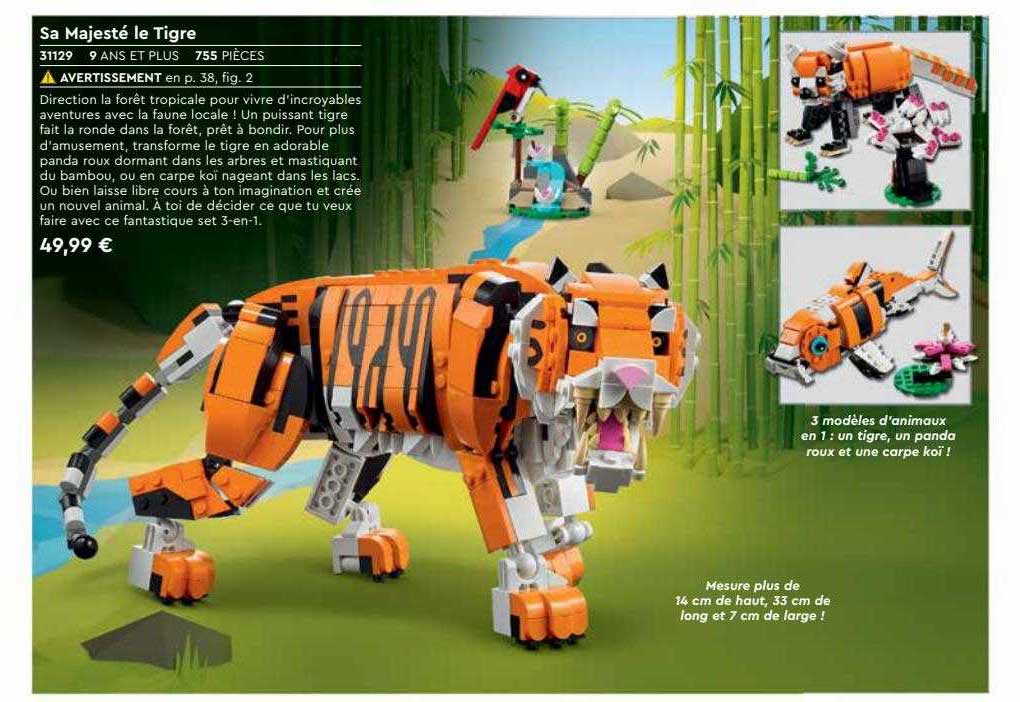 sa majesté le tigre