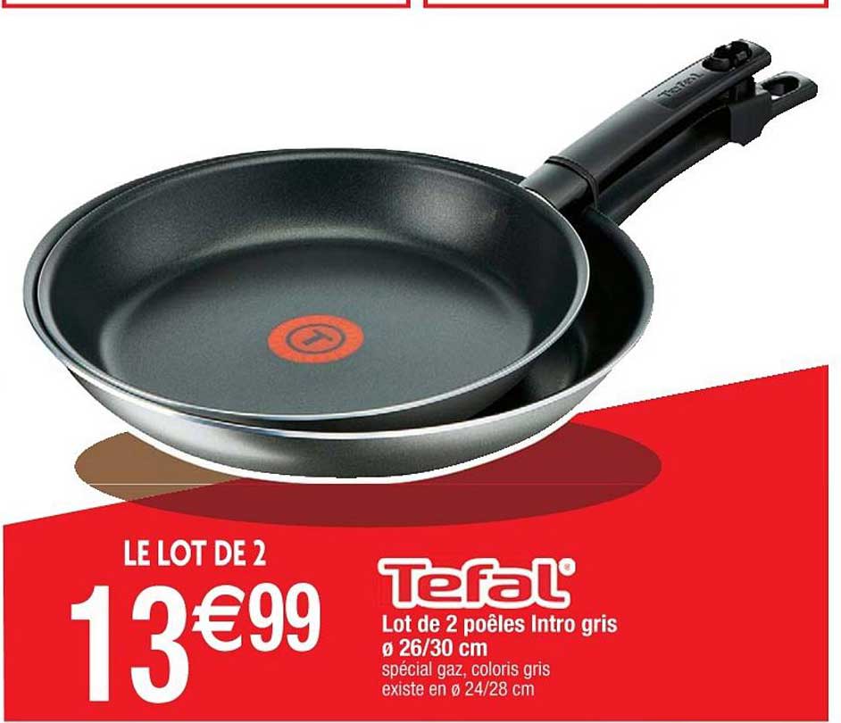 lot de 2 poêles intro gris 26 30 cm tefal
