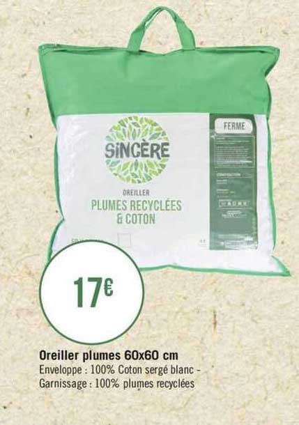 oreiller plumes 60x60 cm sincère