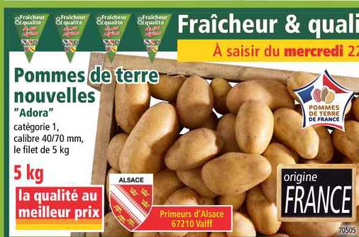 pommes de terre nouvelles adora