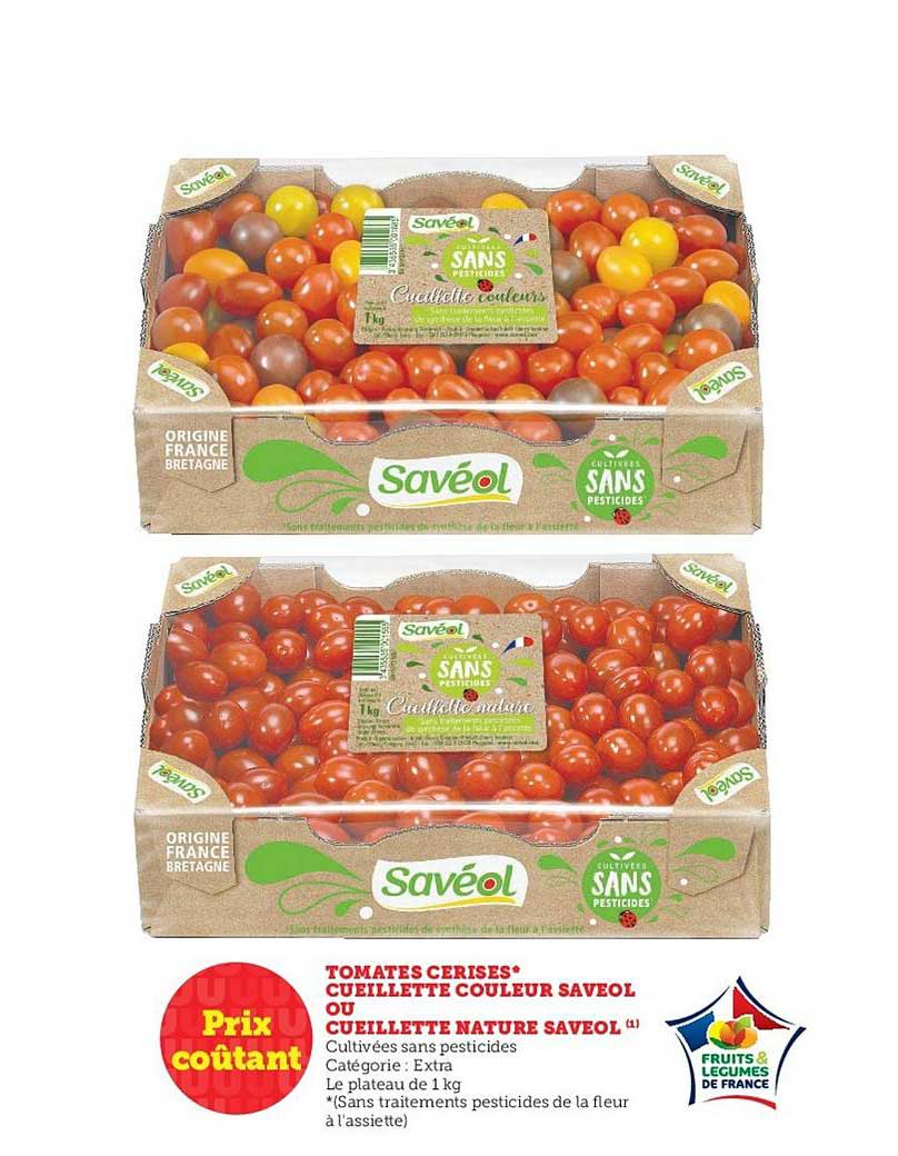 tomates cerises cueillette couleur saveol ou cueillette nature saveol