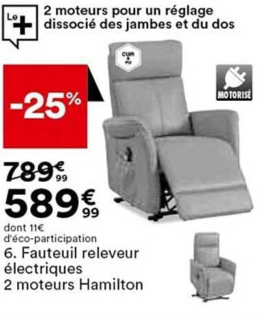 fauteuil releveur électriques 2 moteurs hamilton