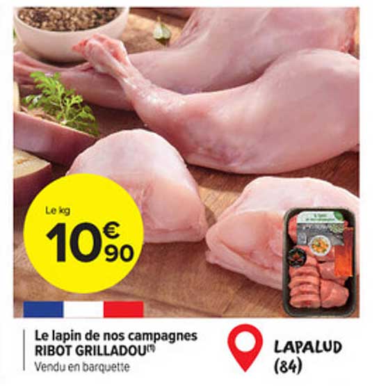 le lapin de nos campagnes ribot grilladou