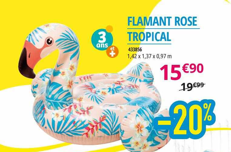 flamant rose tropical