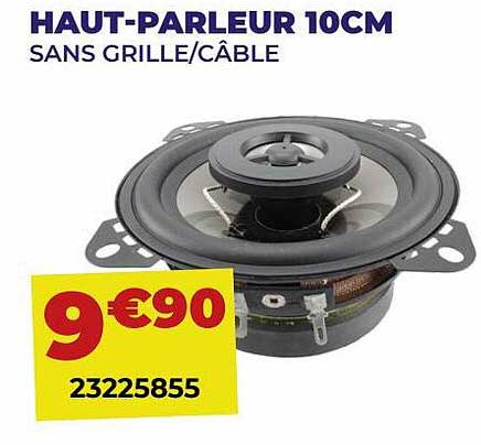 haut-parleur 10 cm