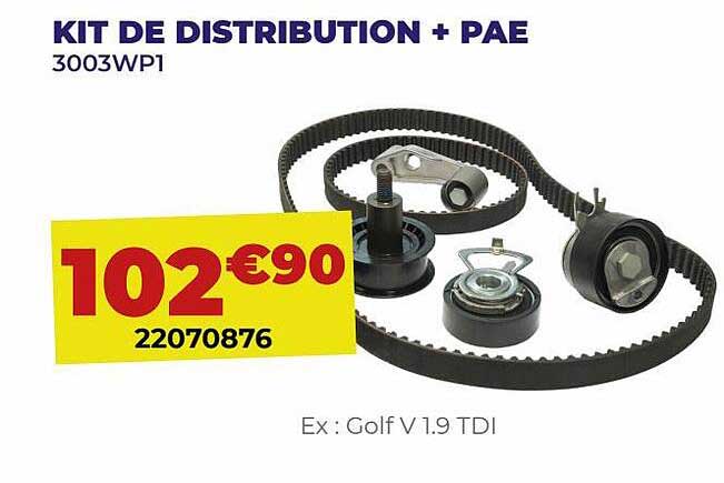 kit de distribution + pae