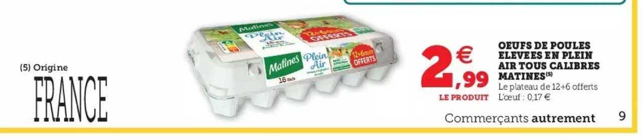 oeufs de poules élevées en plein air tous calibres matines