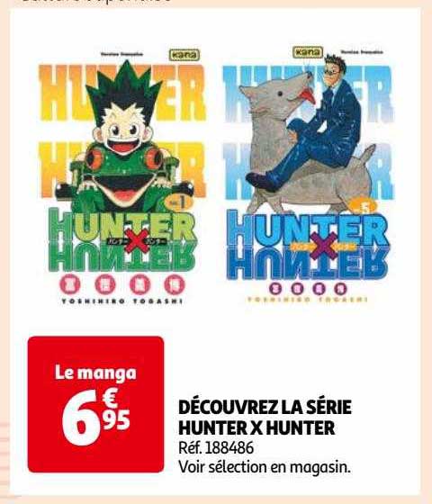 la série hunter x hunter